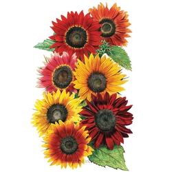 Botanical INTERESTS&reg; Beauties Sunflower Seed